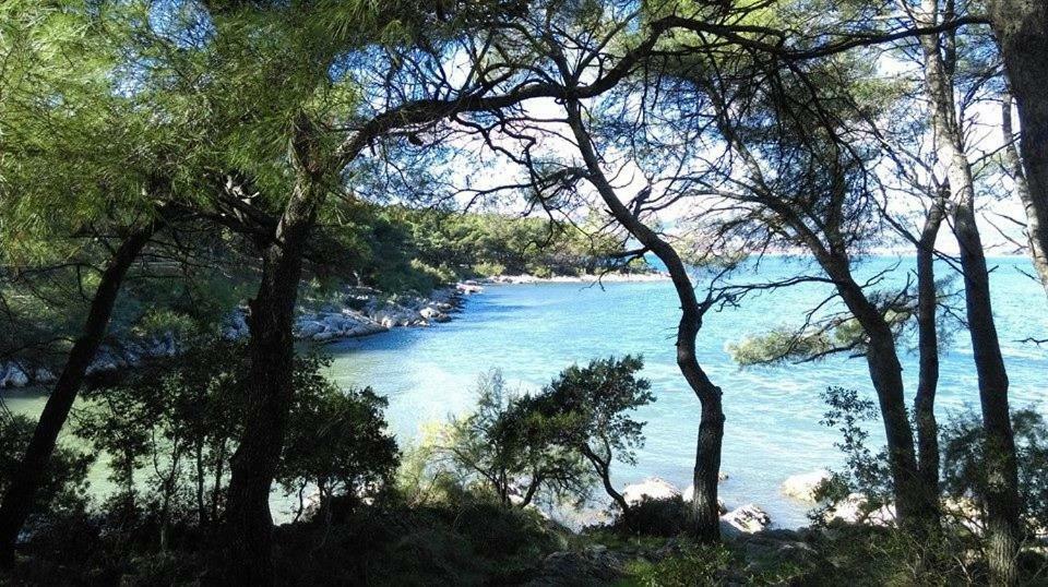 Leilighet U Srcu Grada - Ilicev Prolaz Split